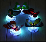 Butterfly Neon Wall Light - Best finders.store